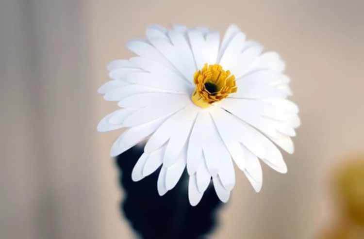 Изготовление цветка ромашки ручной работы из различных материалов romashki svoimi rukami 2