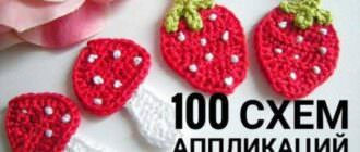 100 узоров для вязания крючком аппликации