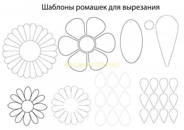 Шаблон цветка маргаритки